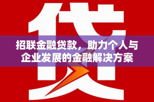 卑南招联金融贷款，助力个人与企业发展的金融解决方案