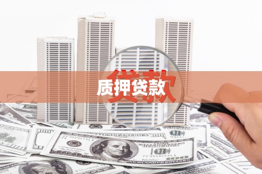 卑南质押贷款