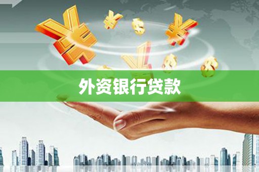 卑南外资银行贷款