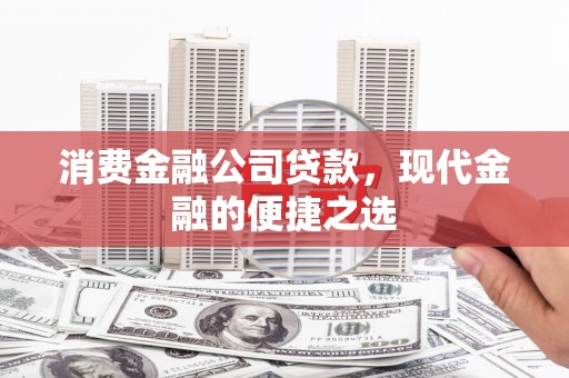卑南消费金融公司贷款，现代金融的便捷之选