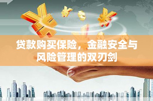 卑南贷款购买保险，金融安全与风险管理的双刃剑