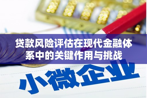 卑南贷款风险评估在现代金融体系中的关键作用与挑战