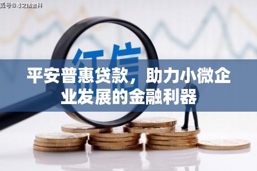 卑南平安普惠贷款，助力小微企业发展的金融利器