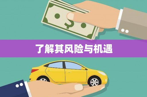 卑南了解其风险与机遇