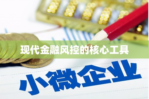 卑南现代金融风控的核心工具