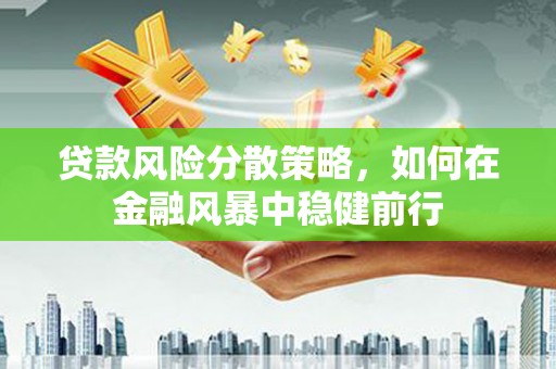 卑南贷款风险分散策略，如何在金融风暴中稳健前行