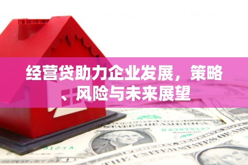 卑南经营贷助力企业发展，策略、风险与未来展望