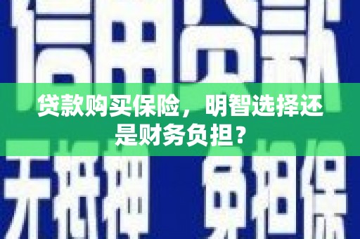 卑南贷款购买保险，明智选择还是财务负担？