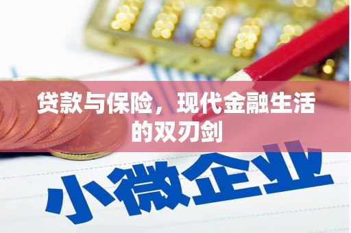 卑南贷款与保险，现代金融生活的双刃剑