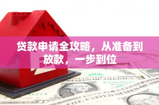卑南贷款申请全攻略，从准备到放款，一步到位