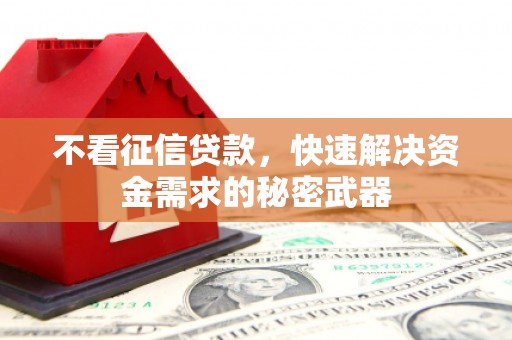 卑南不看征信贷款，快速解决资金需求的秘密武器