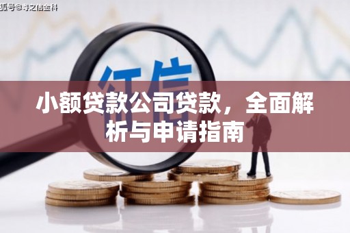 卑南小额贷款公司贷款，全面解析与申请指南