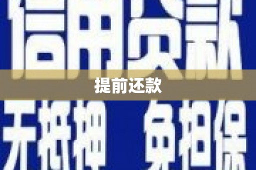 卑南提前还款