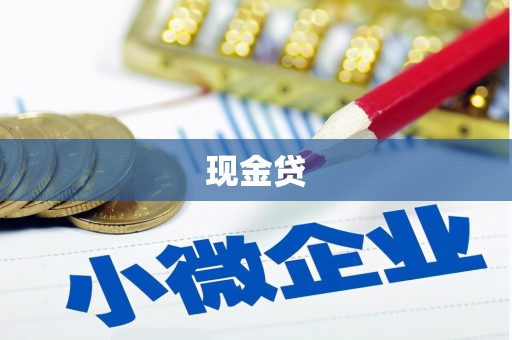 卑南现金贷