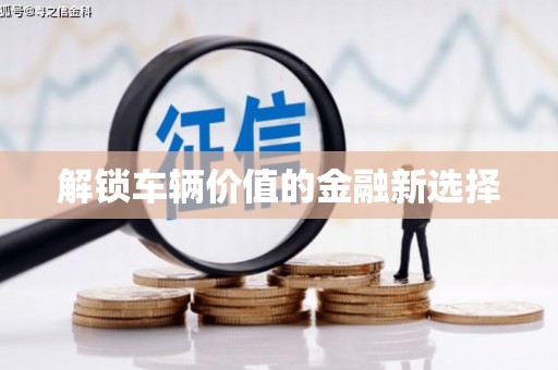 卑南解锁车辆价值的金融新选择