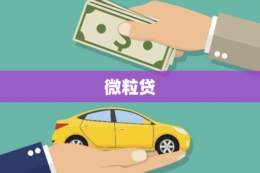 卑南微粒贷