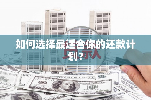 卑南如何选择最适合你的还款计划？