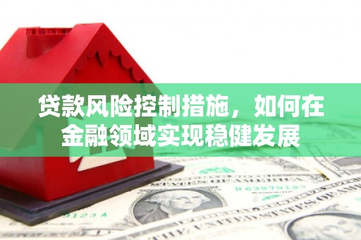 卑南贷款风险控制措施，如何在金融领域实现稳健发展