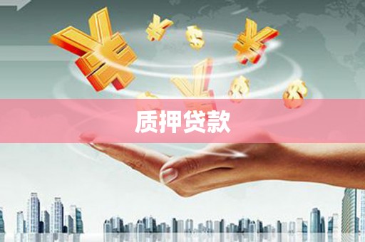 卑南质押贷款