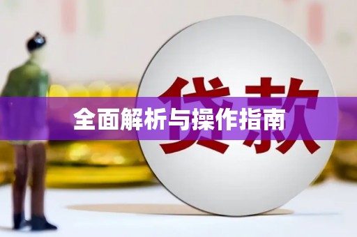 卑南全面解析与操作指南