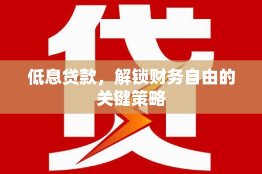 卑南低息贷款，解锁财务自由的关键策略
