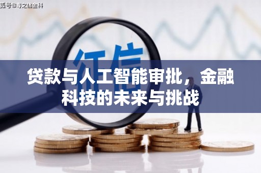 卑南贷款与人工智能审批，金融科技的未来与挑战