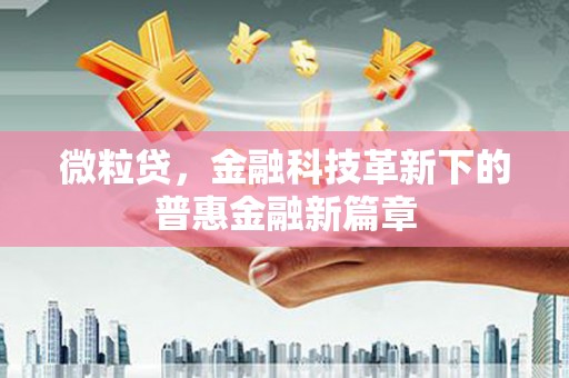 卑南微粒贷，金融科技革新下的普惠金融新篇章