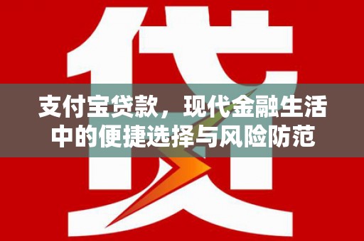 卑南支付宝贷款，现代金融生活中的便捷选择与风险防范