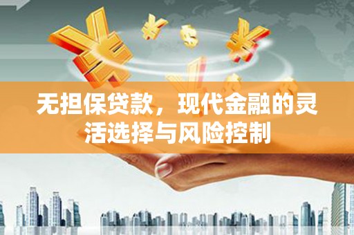 卑南无担保贷款，现代金融的灵活选择与风险控制