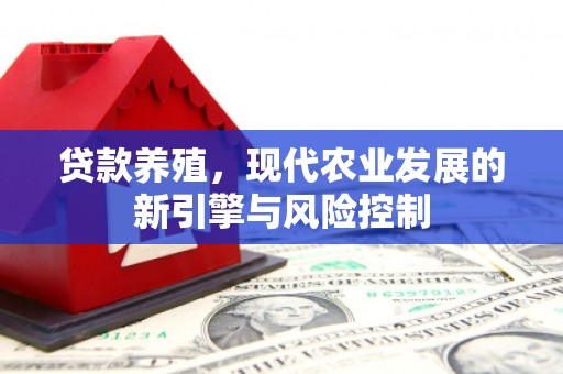 卑南贷款养殖，现代农业发展的新引擎与风险控制