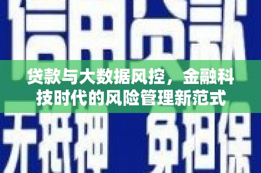 卑南贷款与大数据风控，金融科技时代的风险管理新范式