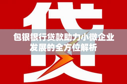 卑南包银银行贷款助力小微企业发展的全方位解析