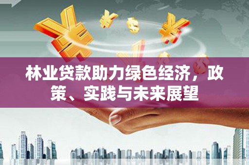 卑南林业贷款助力绿色经济，政策、实践与未来展望