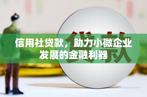 卑南信用社贷款，助力小微企业发展的金融利器