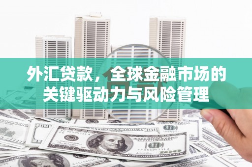 卑南外汇贷款，全球金融市场的关键驱动力与风险管理