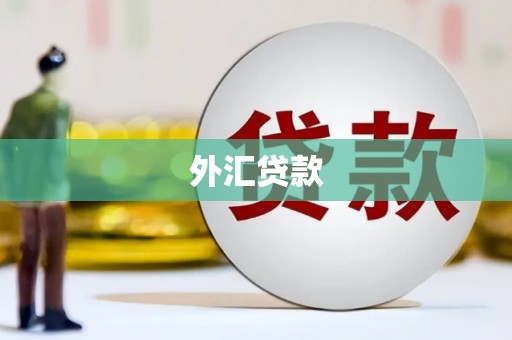 卑南外汇贷款