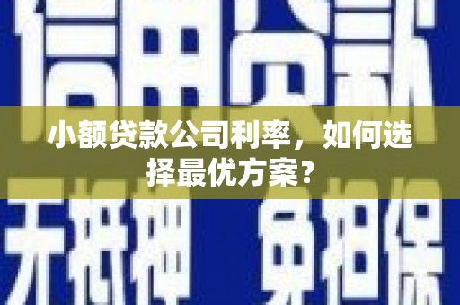卑南小额贷款公司利率，如何选择最优方案？