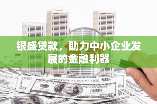 卑南银盛贷款，助力中小企业发展的金融利器