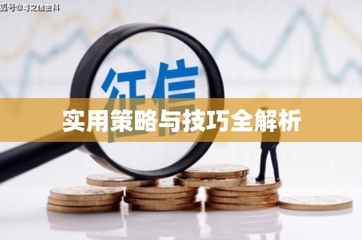 卑南实用策略与技巧全解析