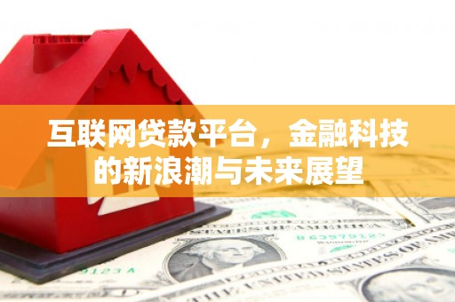 卑南互联网贷款平台，金融科技的新浪潮与未来展望