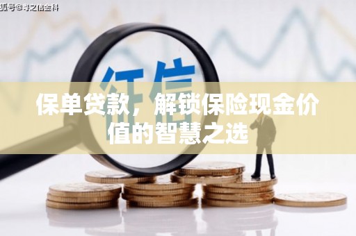 卑南保单贷款，解锁保险现金价值的智慧之选