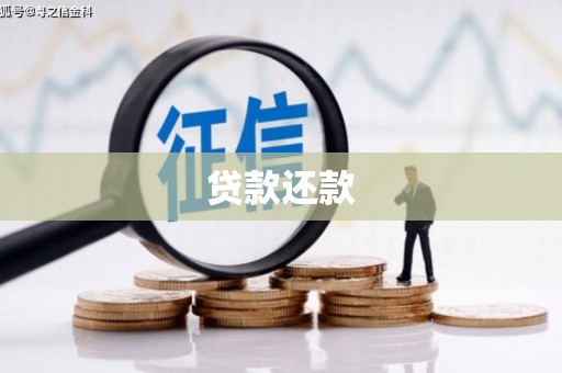 卑南贷款还款