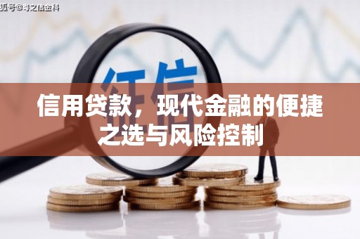 卑南信用贷款，现代金融的便捷之选与风险控制