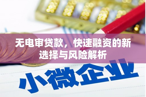 卑南无电审贷款，快速融资的新选择与风险解析
