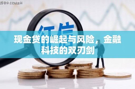 卑南现金贷的崛起与风险，金融科技的双刃剑
