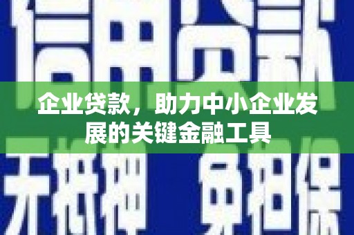 卑南企业贷款，助力中小企业发展的关键金融工具