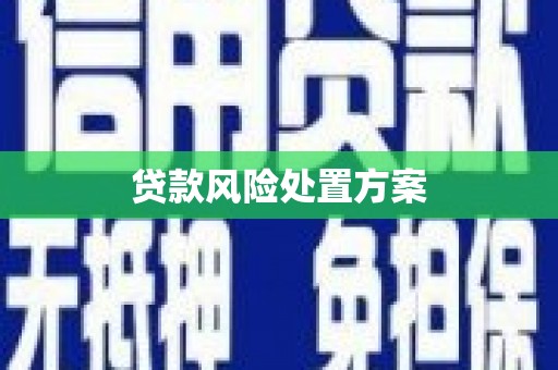 卑南贷款风险处置方案