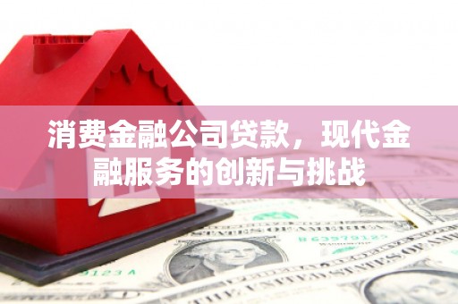 卑南消费金融公司贷款，现代金融服务的创新与挑战