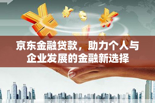 卑南京东金融贷款，助力个人与企业发展的金融新选择