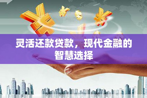 卑南灵活还款贷款，现代金融的智慧选择